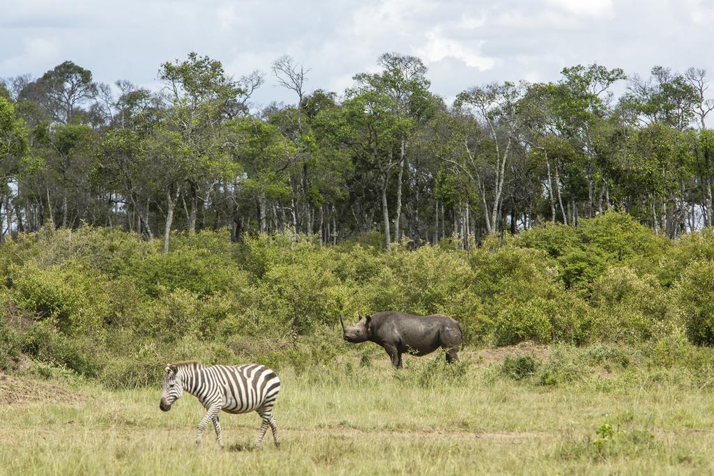 Mara Engai Lodge Lolgorien Экстерьер фото