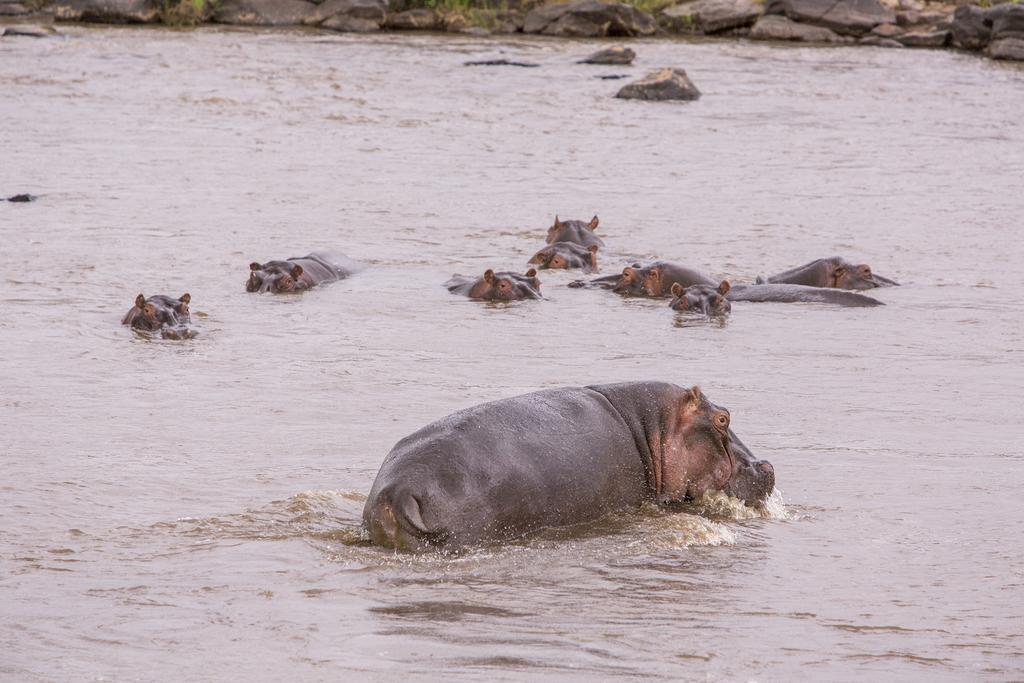 Mara Engai Lodge Lolgorien Экстерьер фото